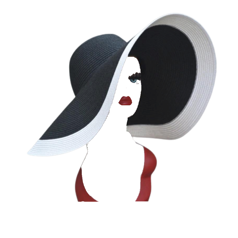 Cruella Black with White Rim Sun Hat